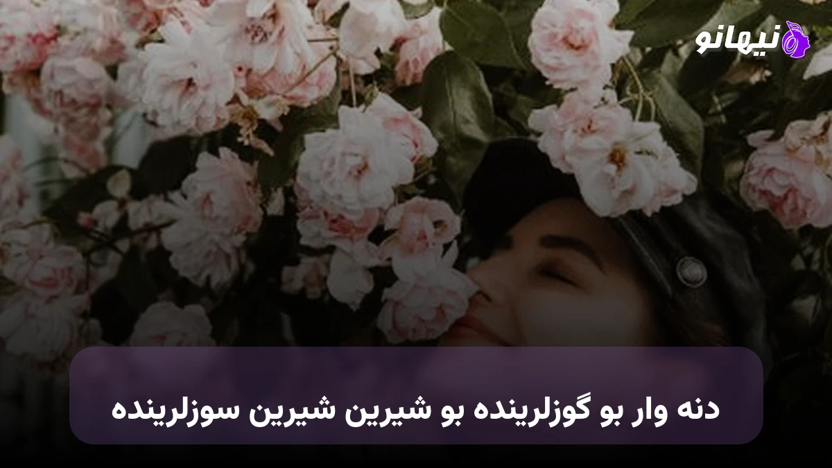دانلود آهنگ دنه وار بو گوزلرینده بو شیرین شیرین سوزلرینده ترکی